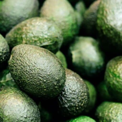Avocados